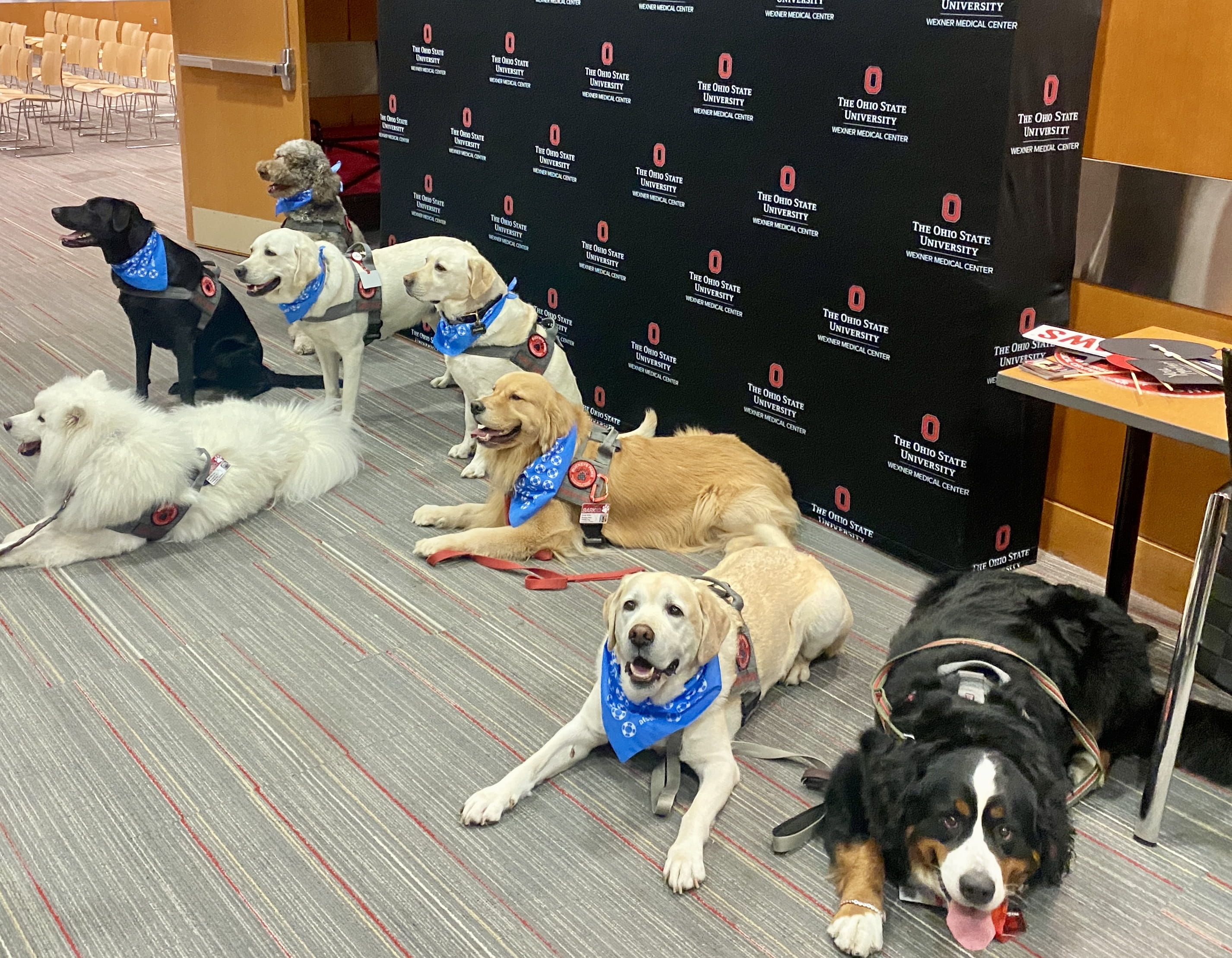 Buckeye Paws therapy dogs will join The Ohio State University’s Suicide Prevention Program on World Suicide Prevention Day on Sept.10 to help spark conversations, share resources and remind the community that suicide is preventable.