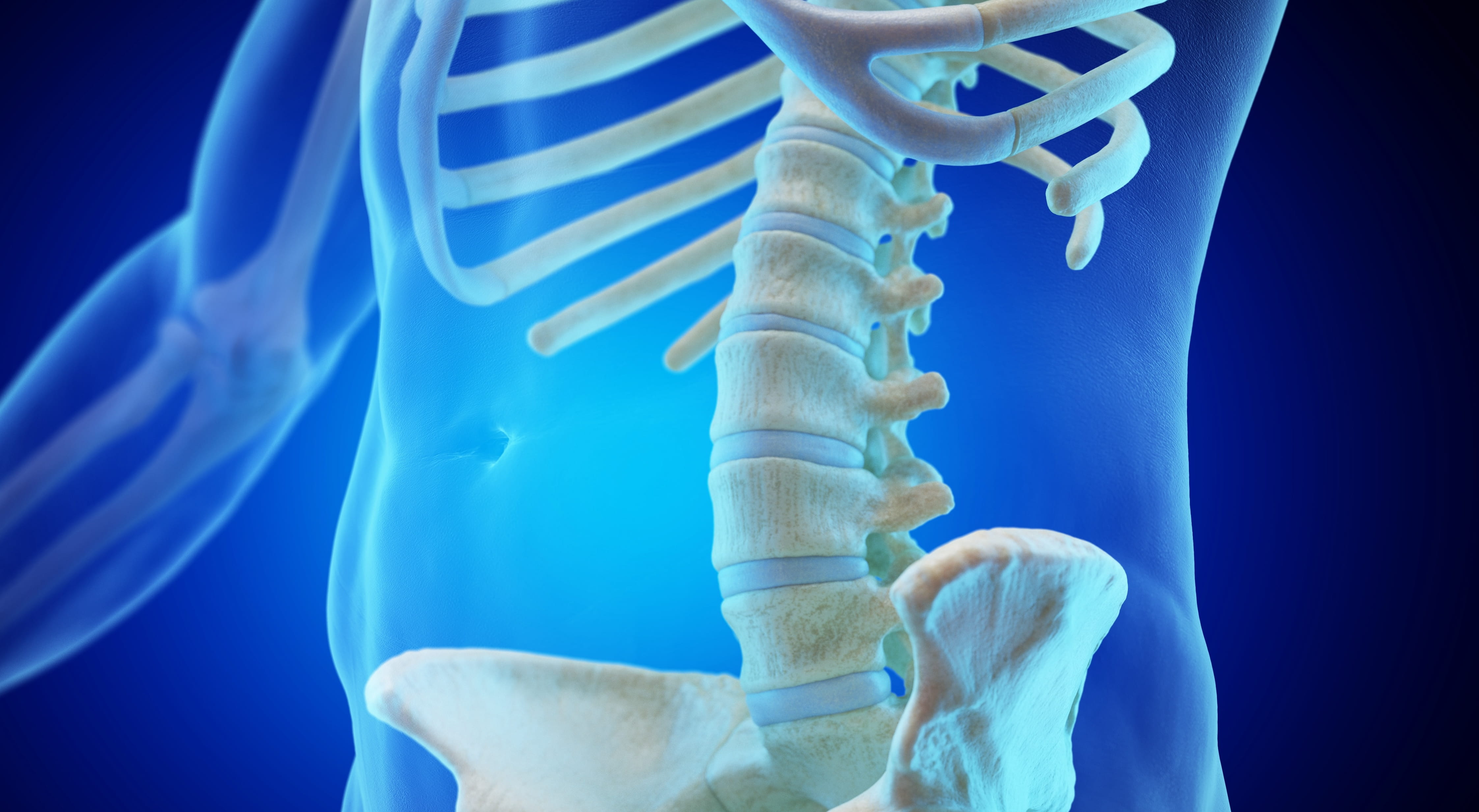 Getty -- intervertebral discs illustration