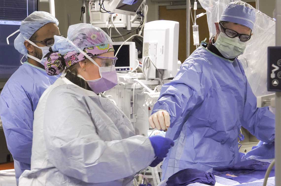 Doctors implating heart valve