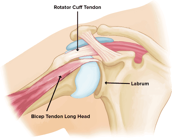 shoulder injuries