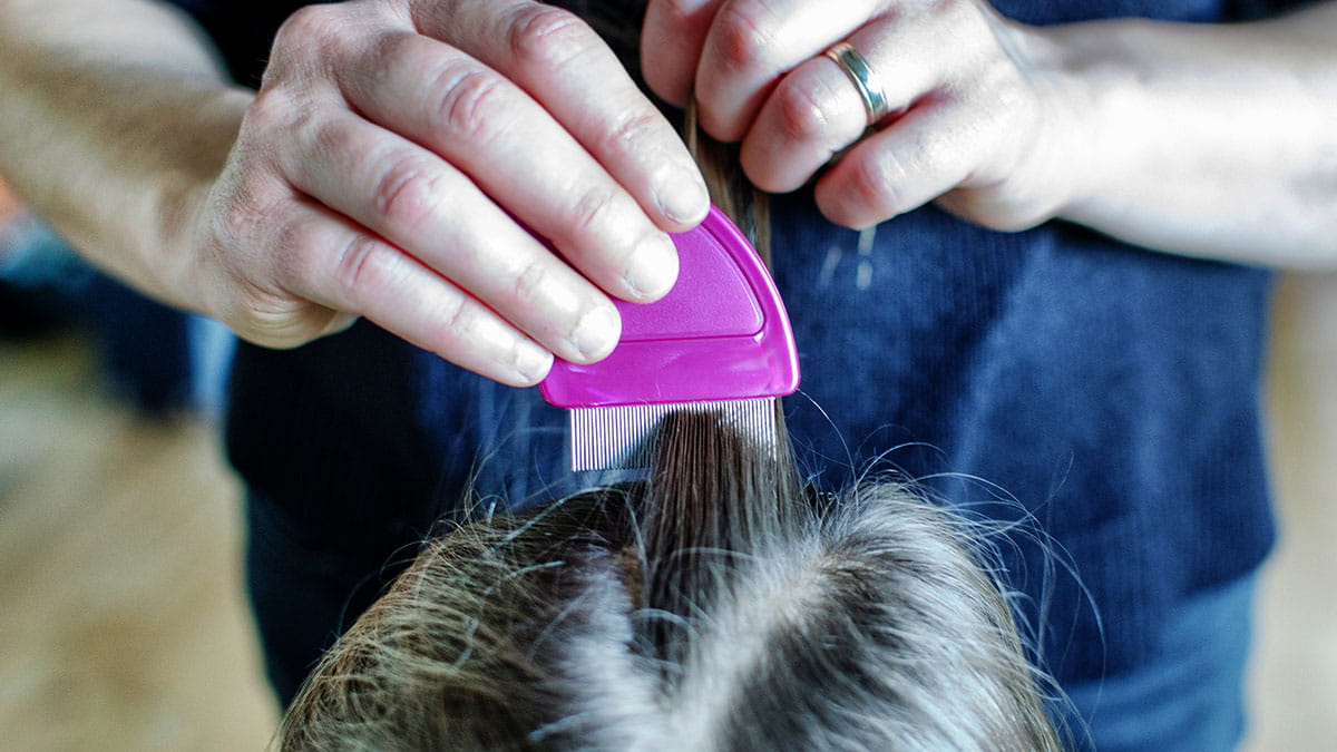 10 reassuring thoughts about head lice