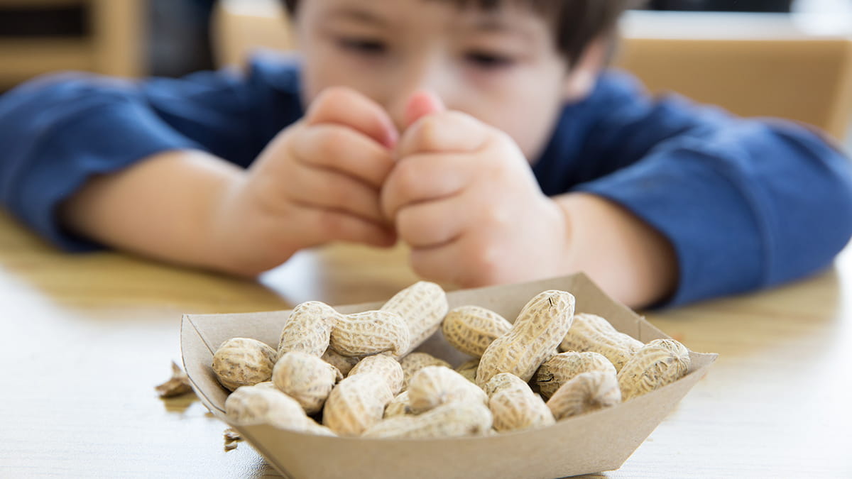 Discovery Made into Which Children Will Outgrow Their Peanut Allergy