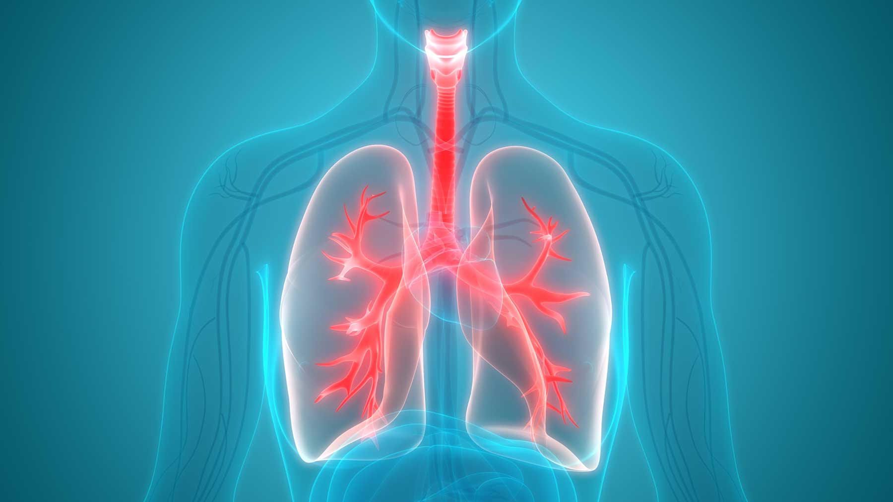 lungscreening_bloglarge