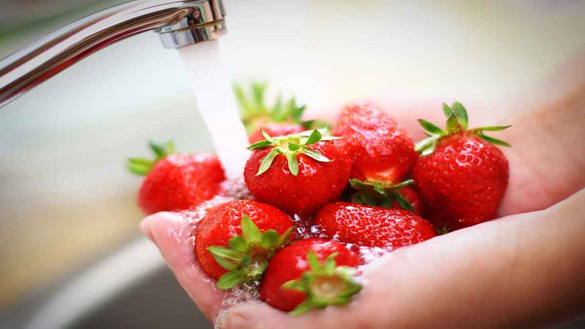 How Important Is It To Wash Fruits And Vegetables Before Eating Ohio 