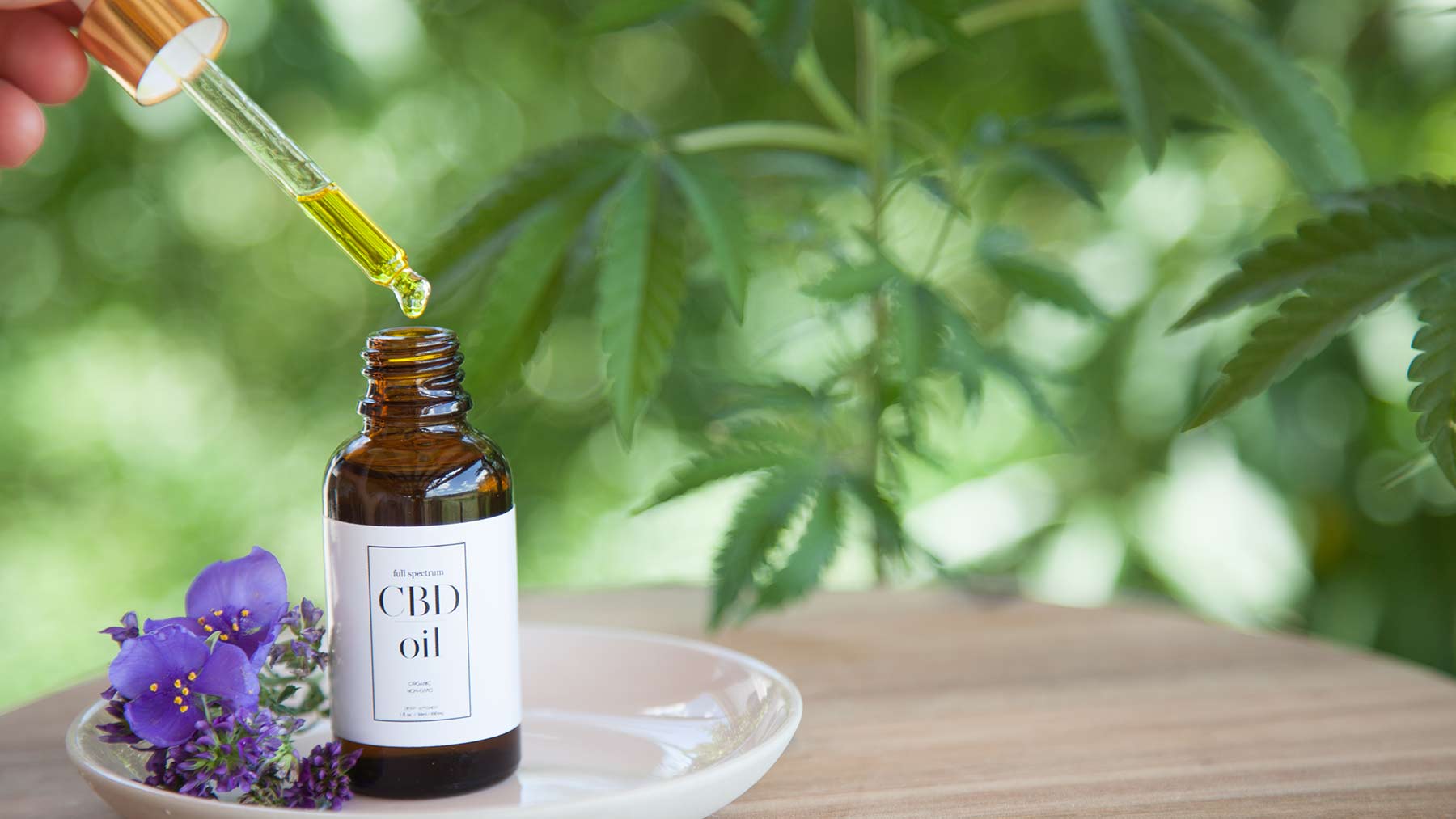 Purchase The Right CBD Products From A Reliable Online Store!
