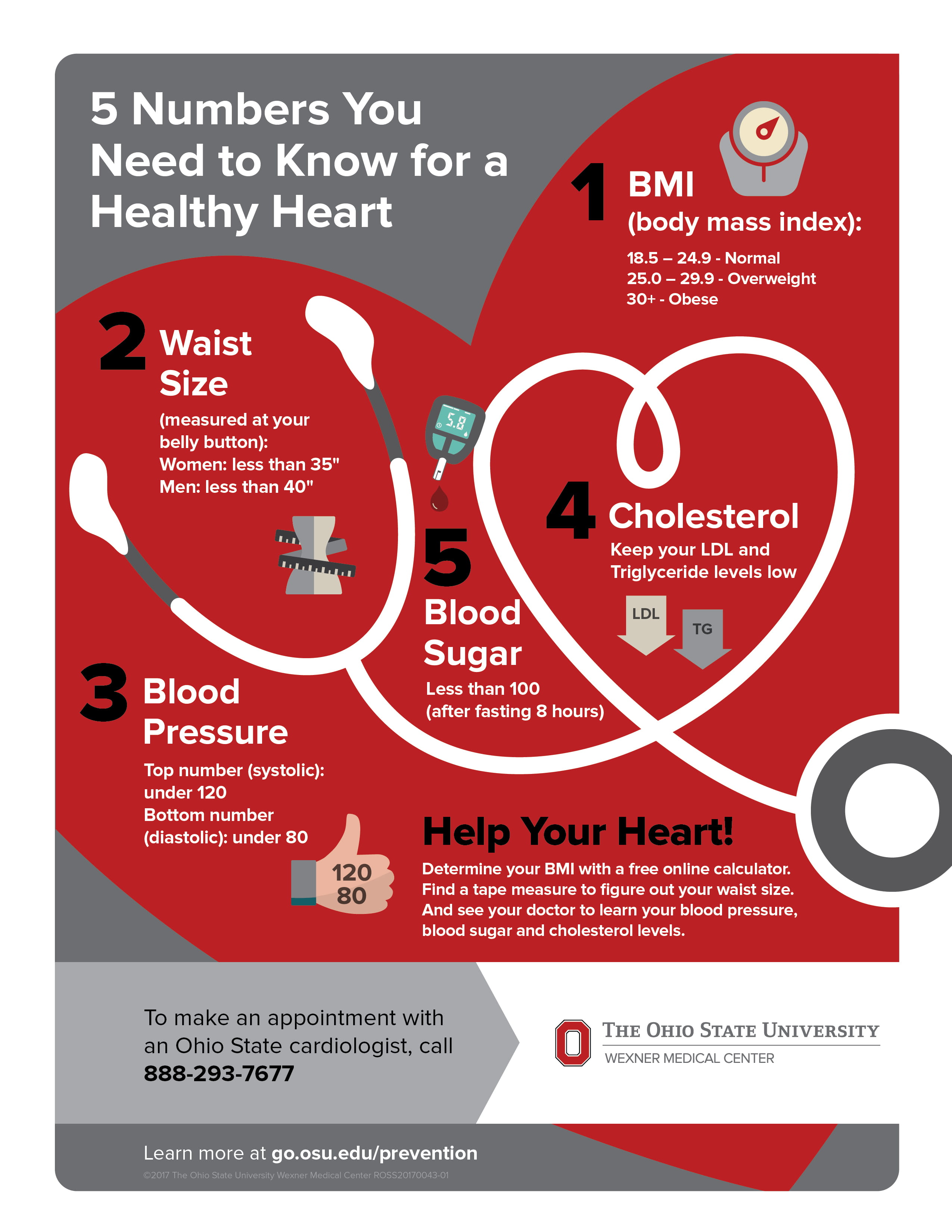 5 Numbers Infograph Update