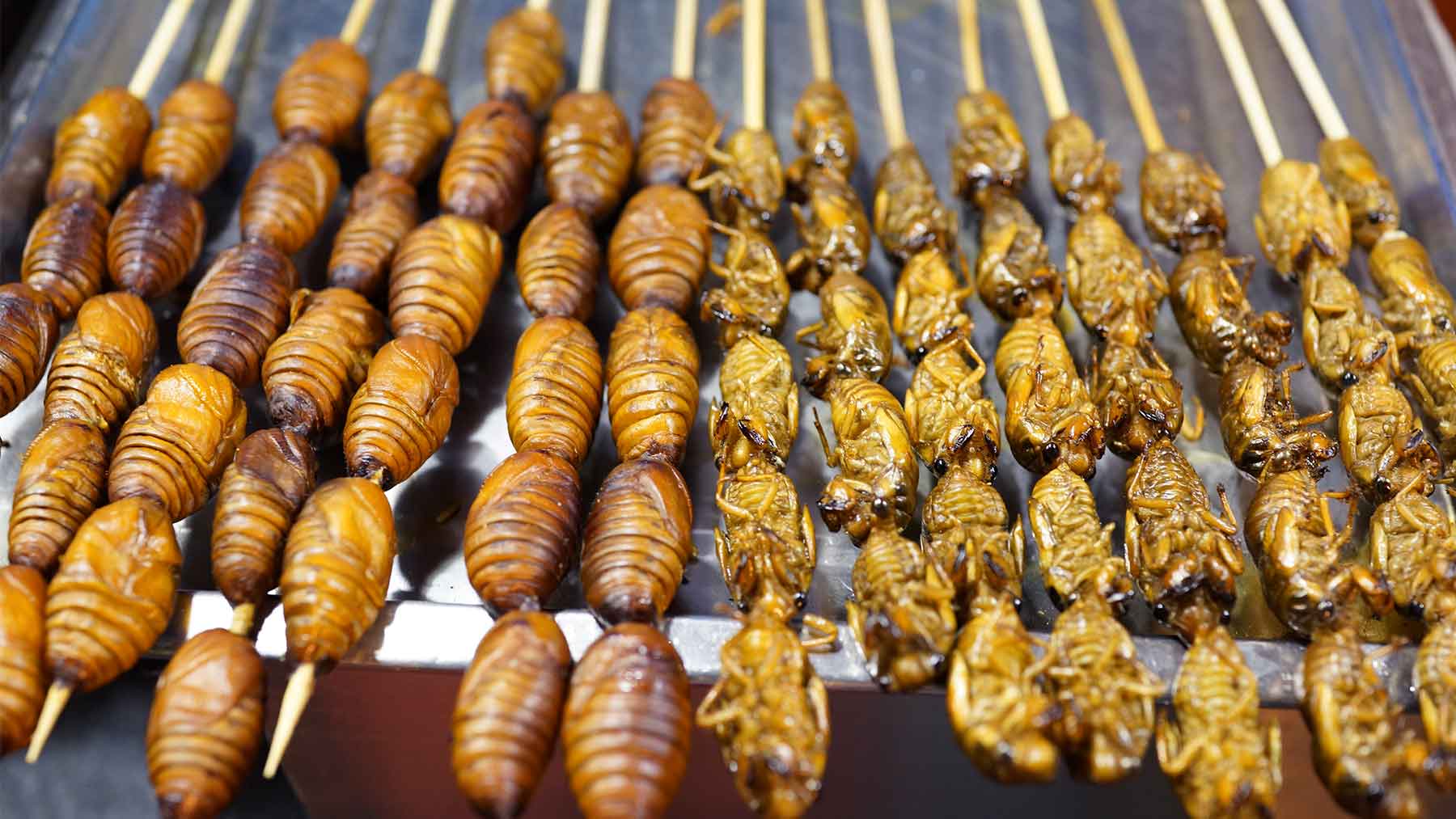 chinese people eating bugs