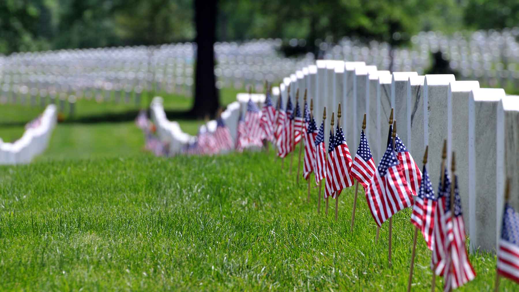 American flags lined up along military tombstones