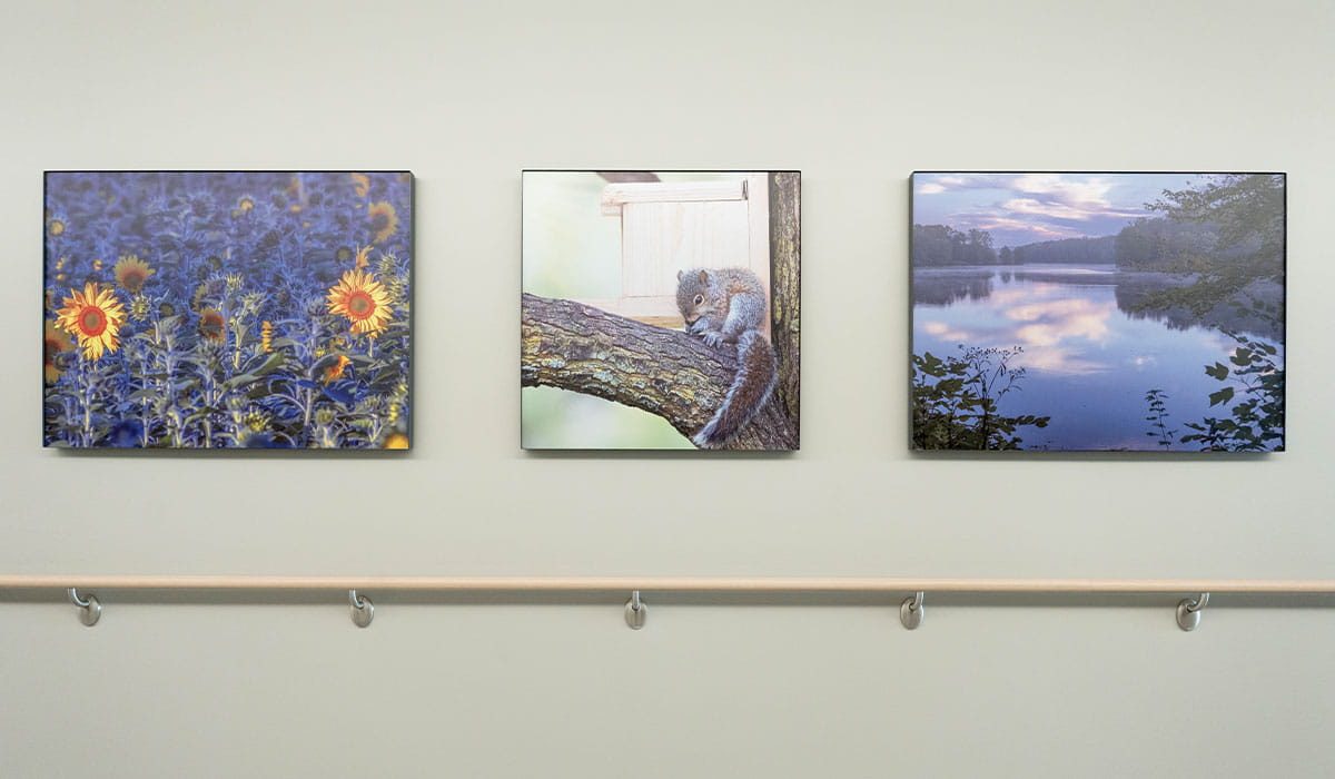 New photos hanging in New University Hospital hallway.