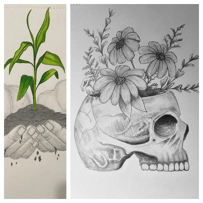 Drawing of the flowers and the scull