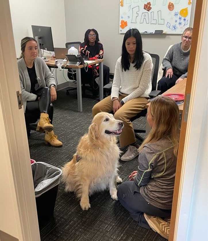 A golden retriever, her owner, and four CATALYST staff members are gathered in an office. A marker board says, "Happy fall."