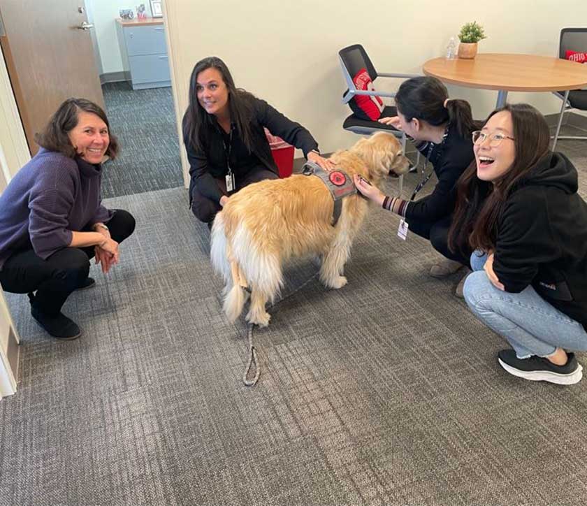 Four CATALYST faculty and staff members smile and laugh while crouching next to a golden retriever.