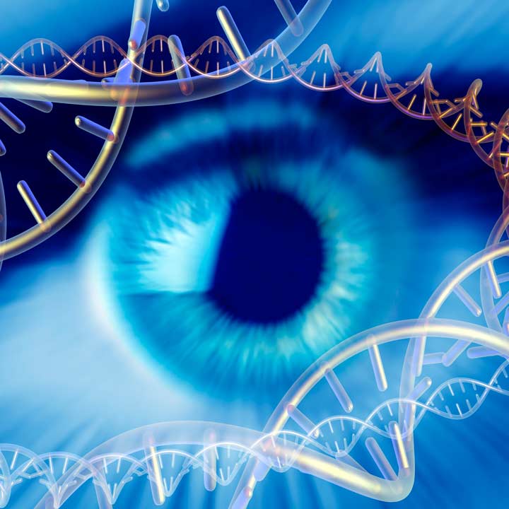 Eye-genetics-illustration_720x720