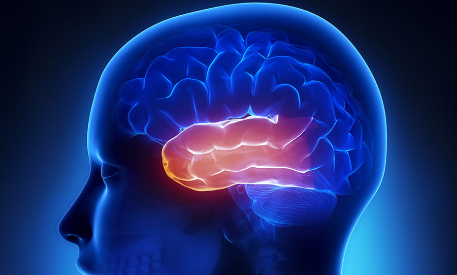 temporal-lobe-epilepsy-left-lobe-of-brain_1