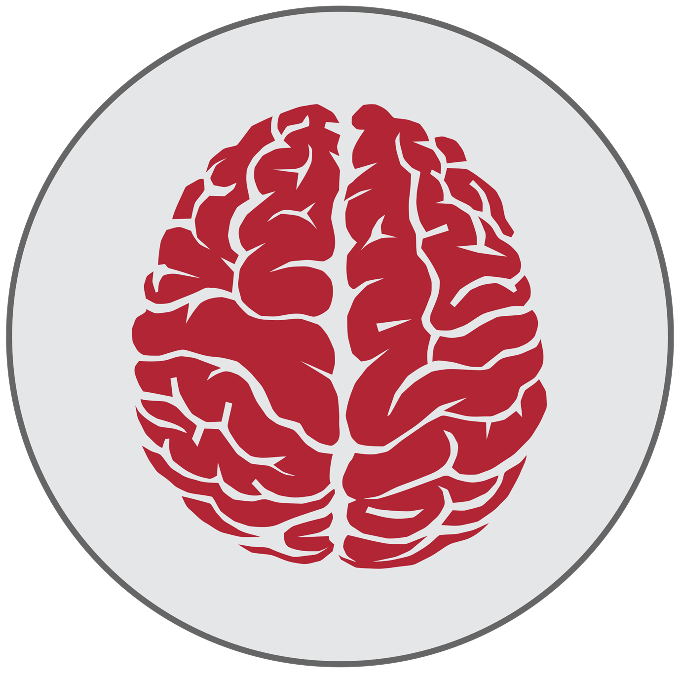 BrainGraphicEpilepsy