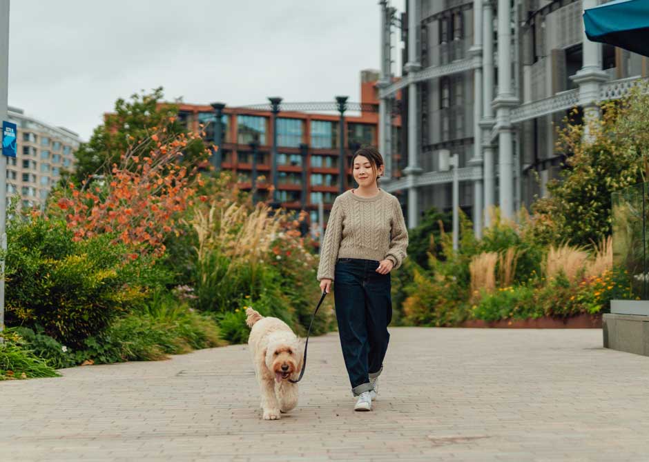 Woman walking a dog