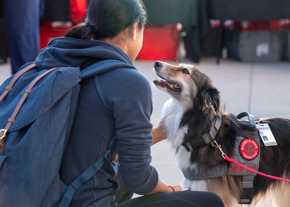 woman petting a therapy dog