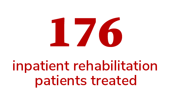 176 brain injury inpatient rehabilitation patients