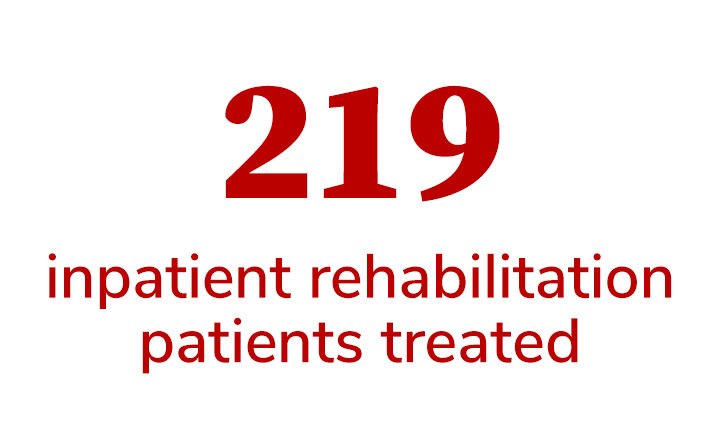 176 brain injury inpatient rehabilitation patients