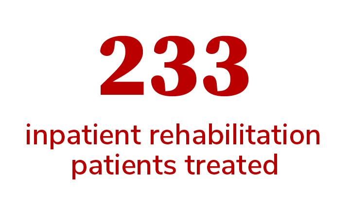 233 stroke inpatient rehabilitation patients