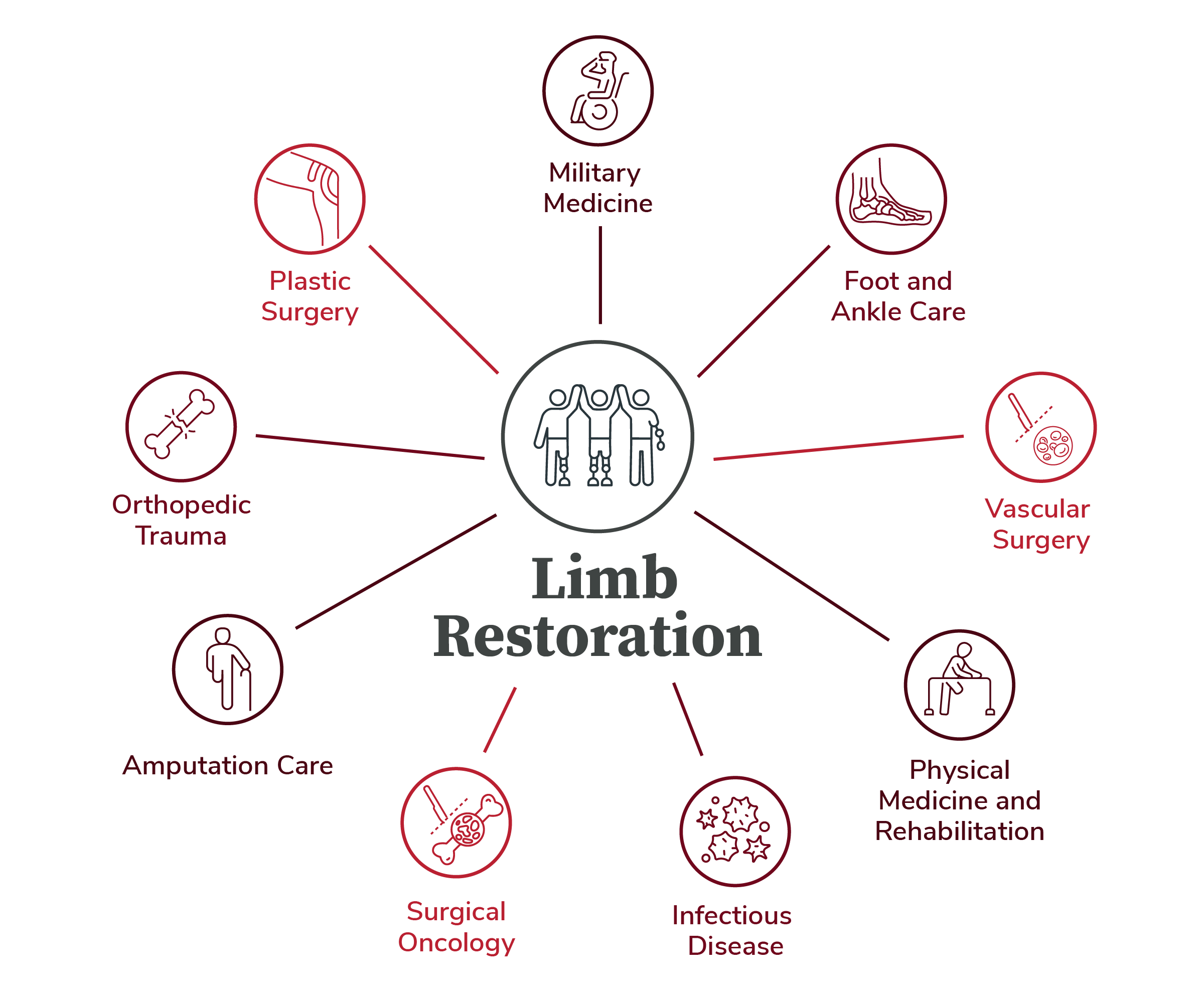 illustration showing the multidisciplinary teams that work within the Limb Restoration Program at The Ohio State University Wexner Medical Center